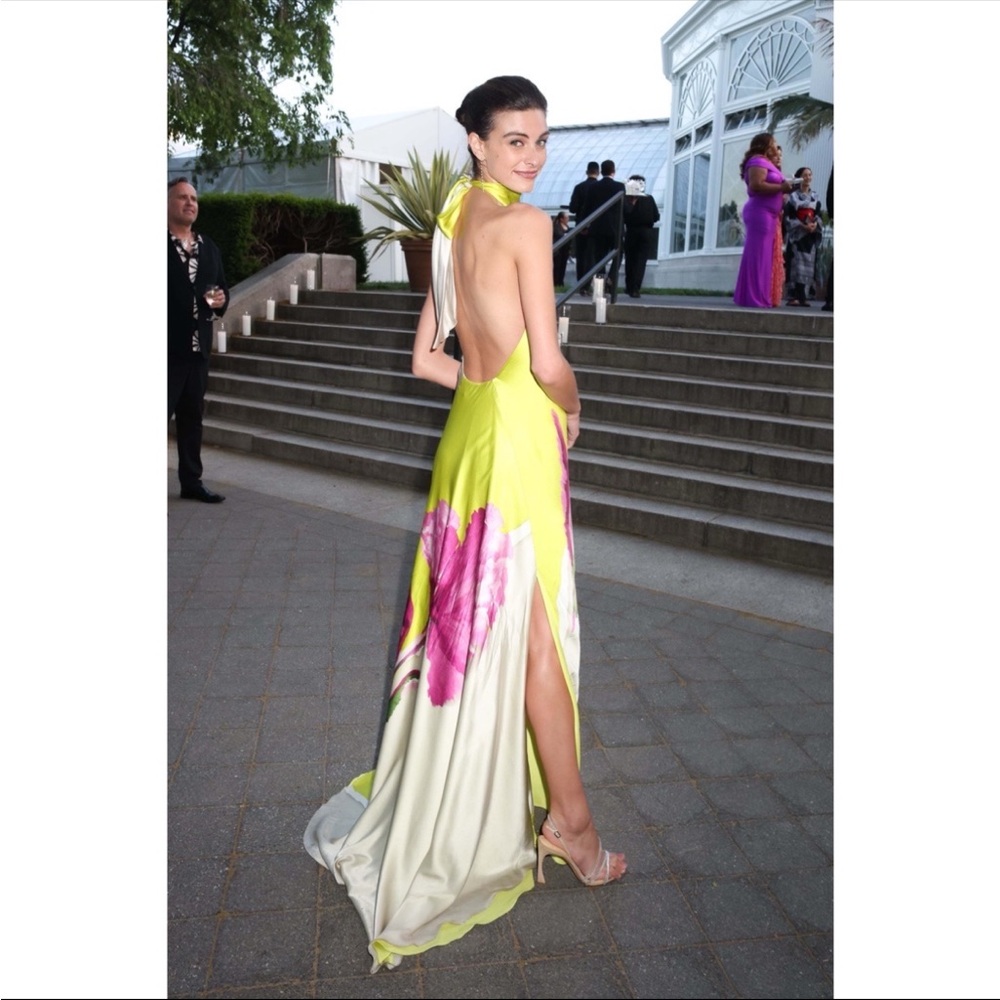 Silvia Tcherassi Chartreuse ‘Sherry’ Silk Gown - Picture 6 of 17